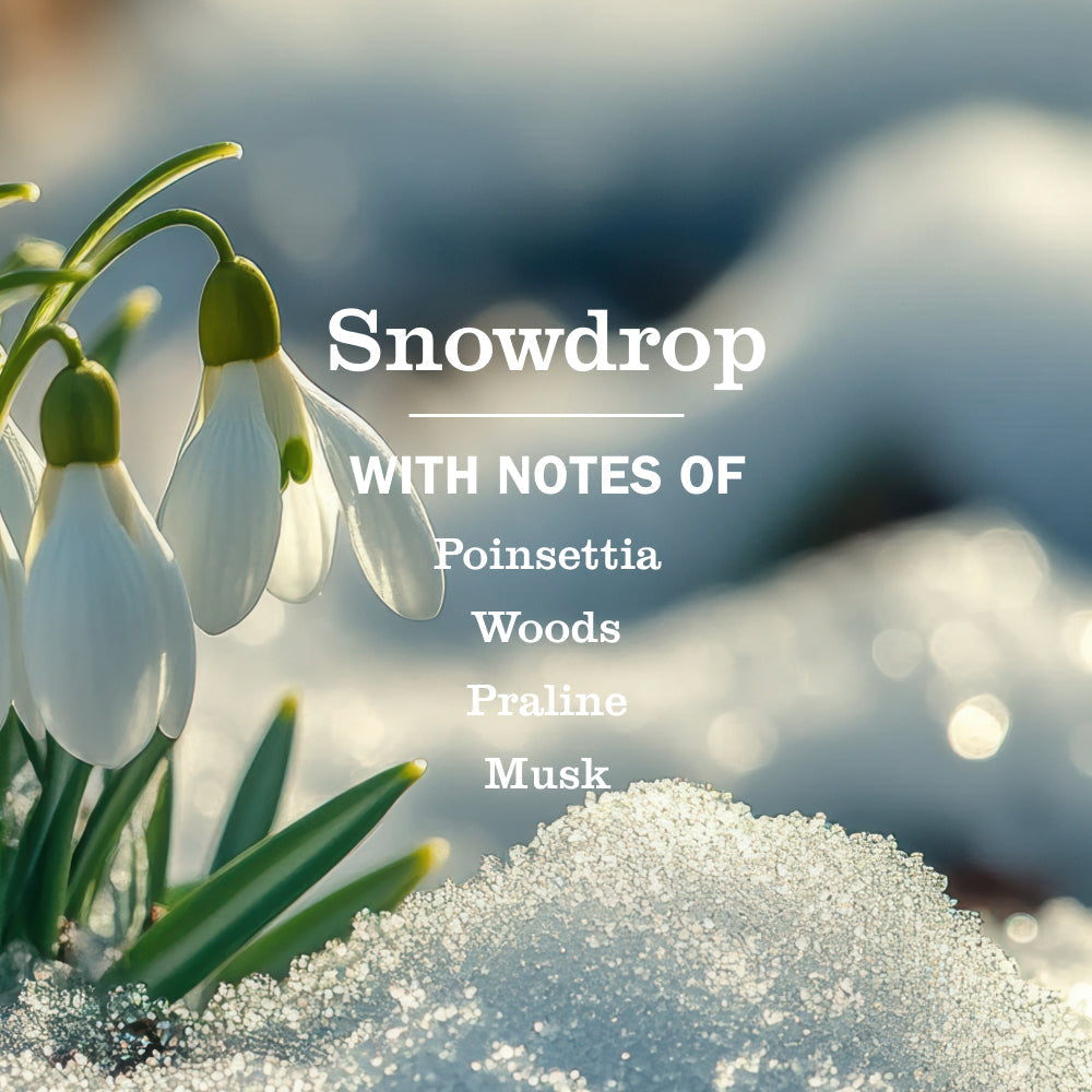 Mrs. Meyer's Snowdrop Kitchen Basics Set